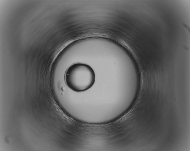 X0000103500828200809121010