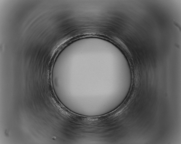 X0000103500831200809121010