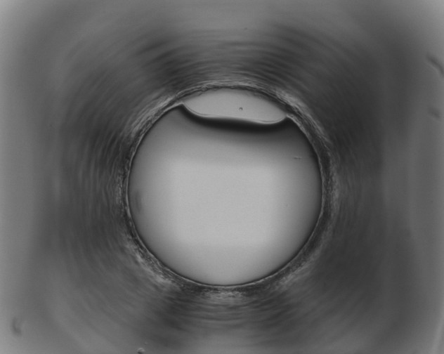 X0000103500833200809121010