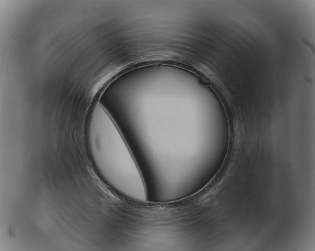 X0000103500834200809121010