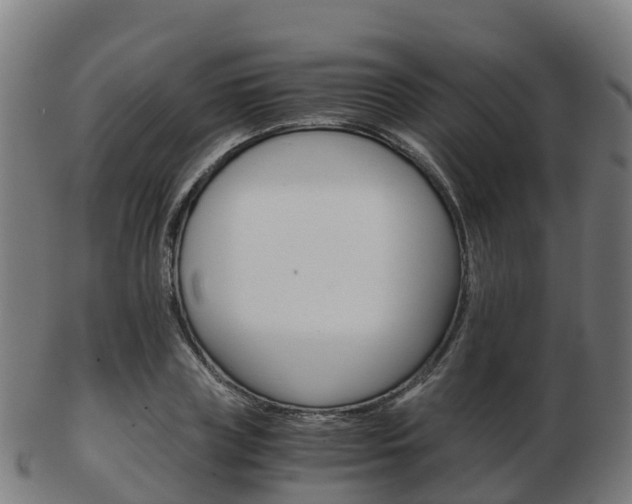 X0000103500835200809121010