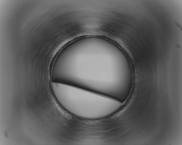 X0000103500837200809121010