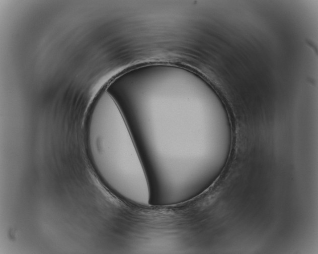 X0000103500838200809121010