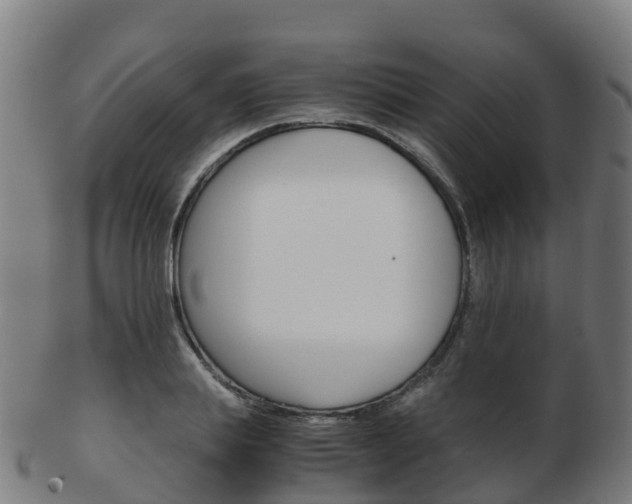 X0000103500839200809121010