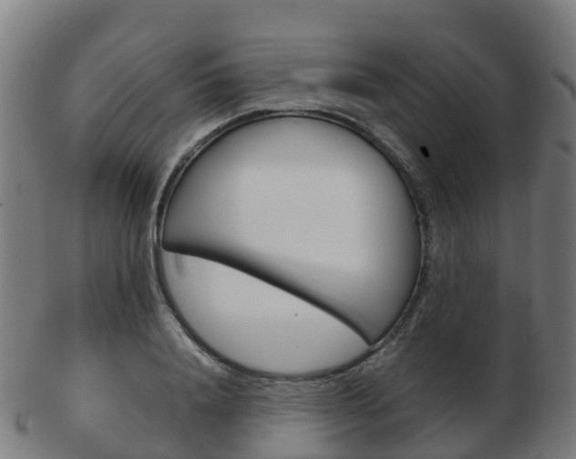 X0000103500840200809121010