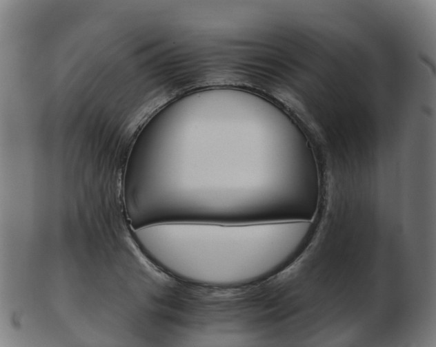 X0000103500841200809121010