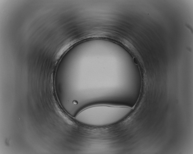 X0000103500842200809121010
