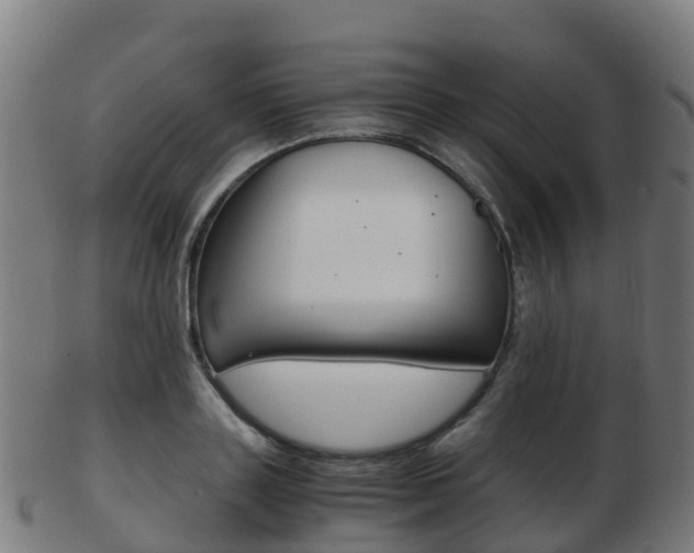 X0000103500843200809121010