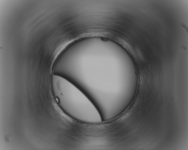 X0000103500844200809121010