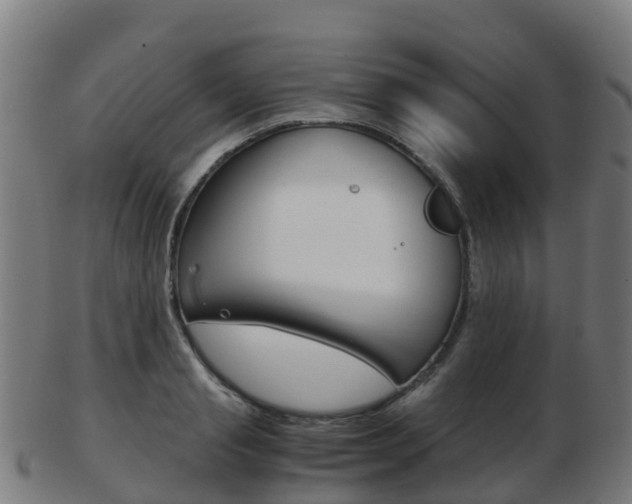 X0000103500845200809121010