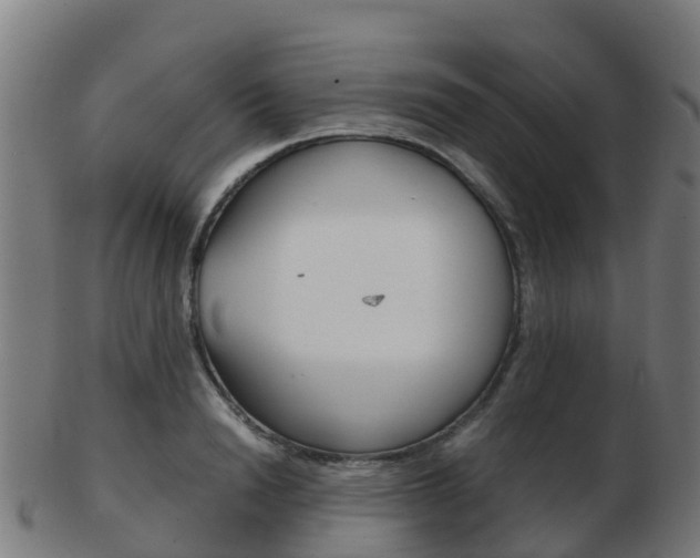 X0000103500846200809121010