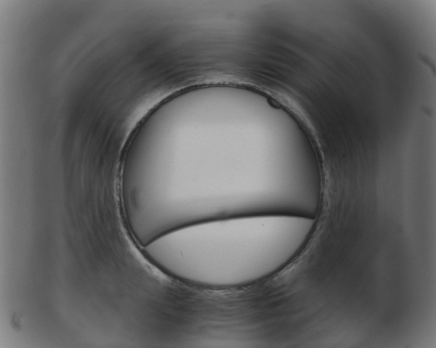 X0000103500847200809121010