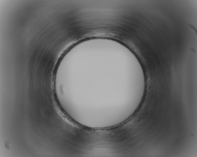 X0000103500848200809121010