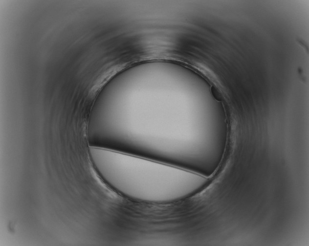 X0000103500849200809121010