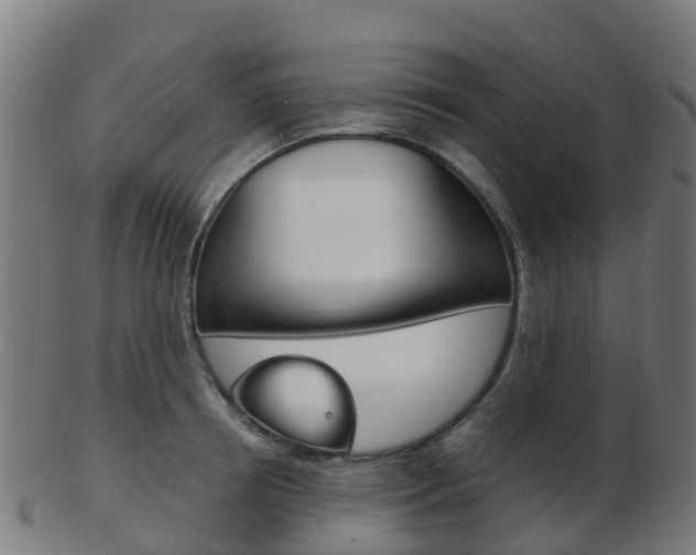 X0000103500850200809121010