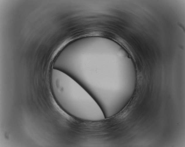 X0000103500851200809121010
