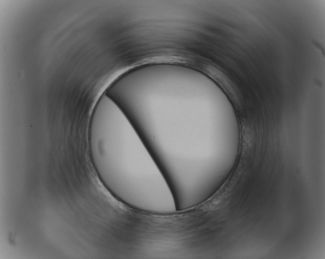 X0000103500852200809121010