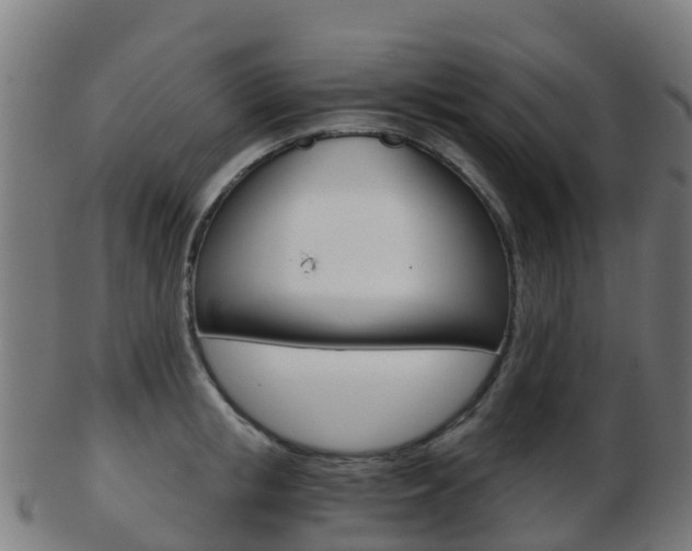 X0000103500853200809121010