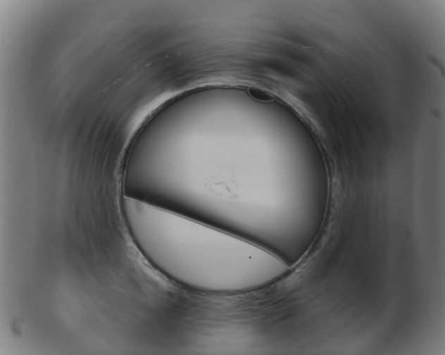 X0000103500854200809121010