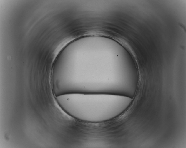 X0000103500855200809121011