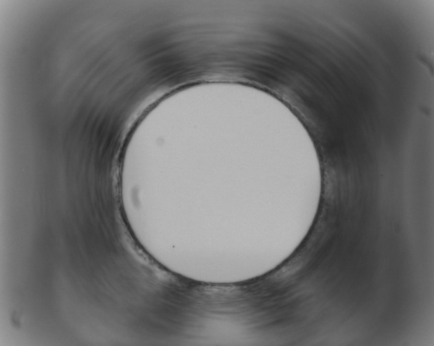 X0000103500856200809121011