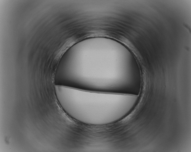 X0000103500857200809121011