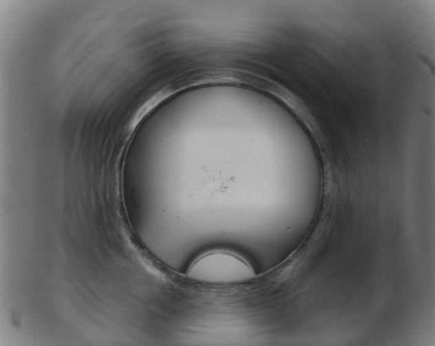 X0000103500858200809121011