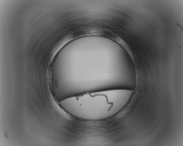 X0000103500859200809121011