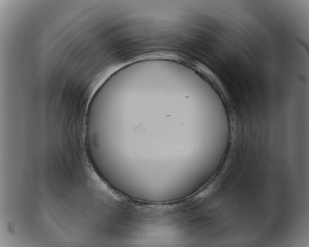 X0000103500860200809121011