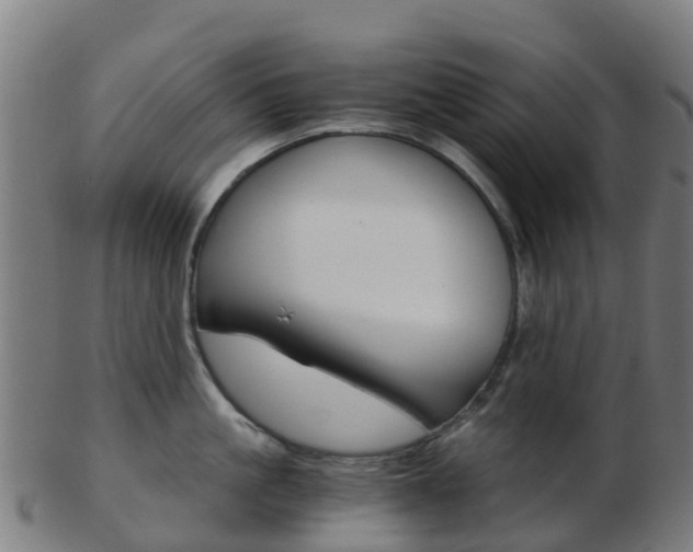 X0000103500861200809121011