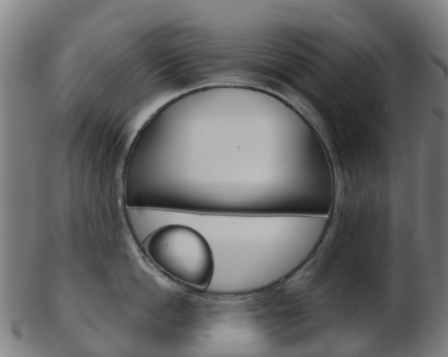 X0000103500862200809121011