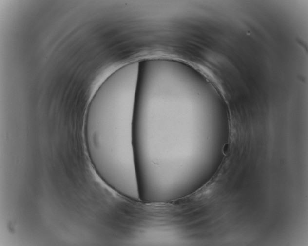 X0000103500863200809121011
