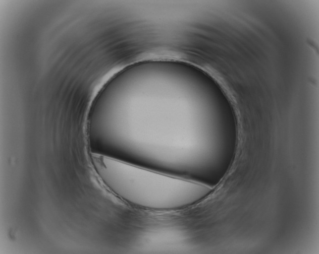 X0000103500864200809121011