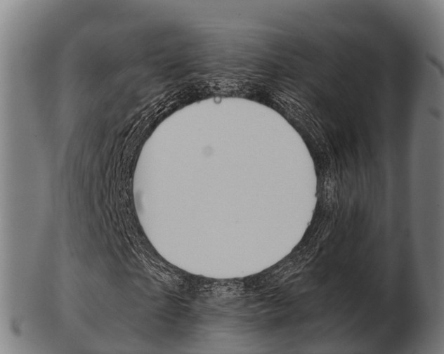 X0000103500865200809121010