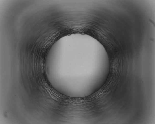 X0000103500868200809121010