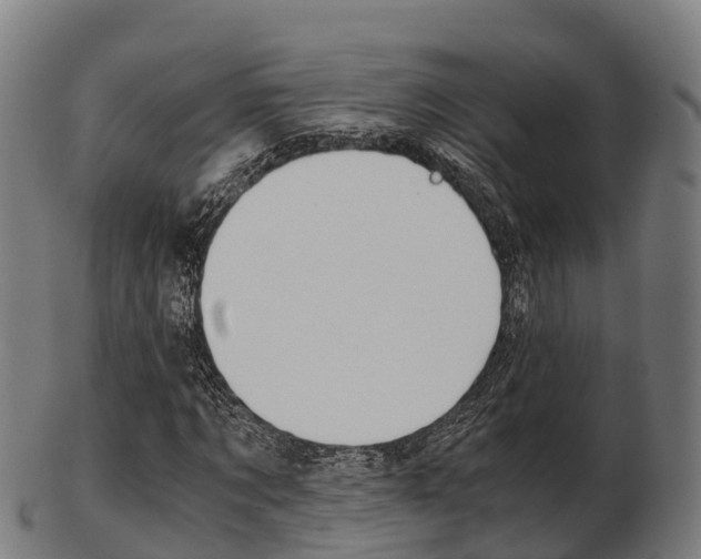 X0000103500869200809121010
