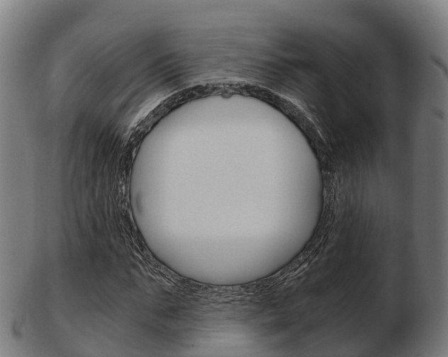 X0000103500871200809121010