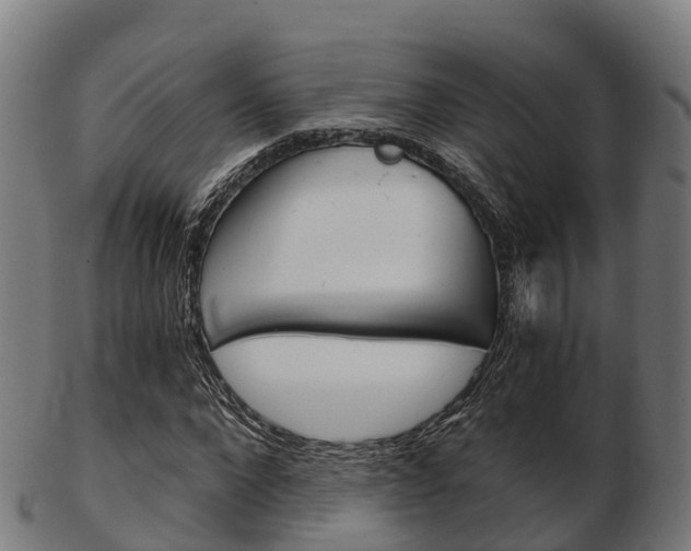 X0000103500872200809121010
