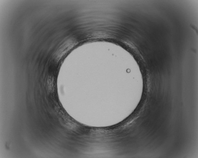 X0000103500873200809121010