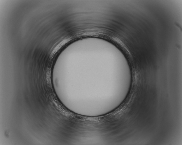 X0000103500874200809121010