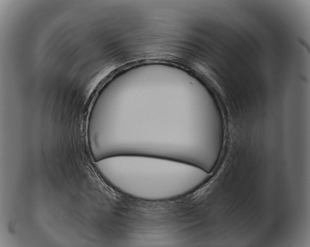 X0000103500875200809121010