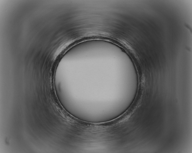 X0000103500877200809121010