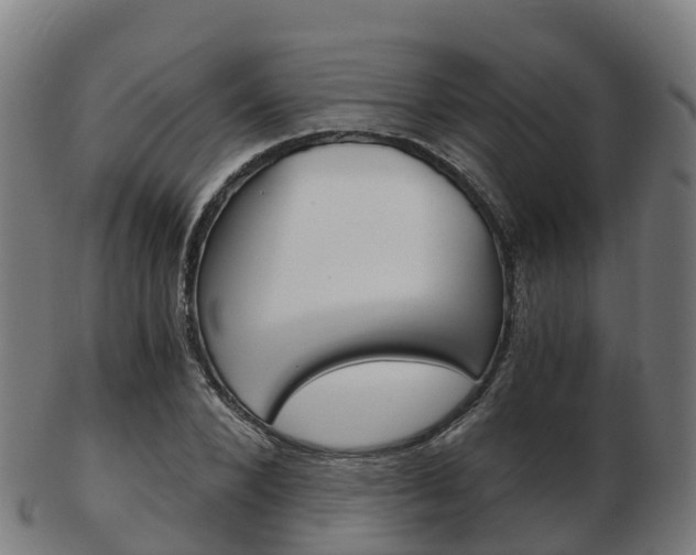 X0000103500880200809121010