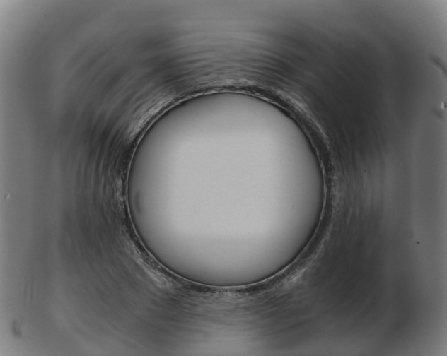 X0000103500881200809121010
