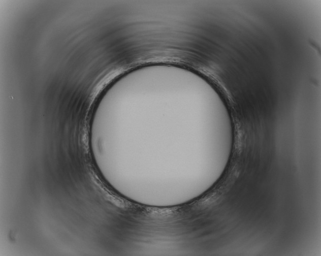 X0000103500882200809121010