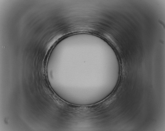 X0000103500883200809121010