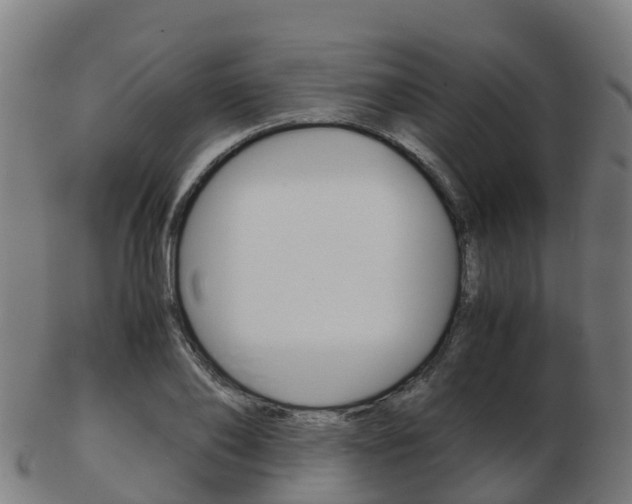 X0000103500886200809121010
