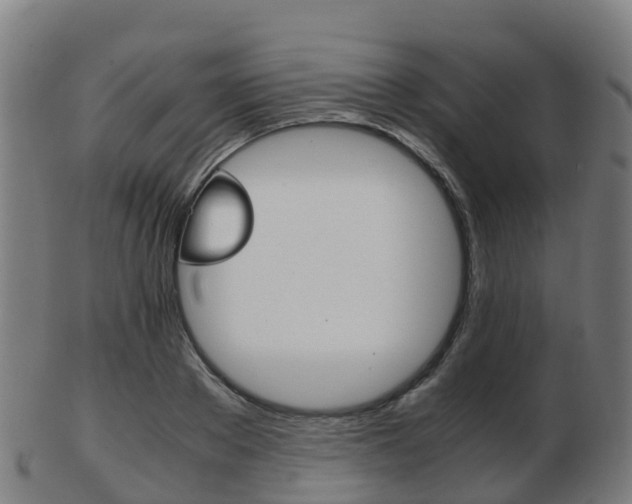 X0000103500889200809121010