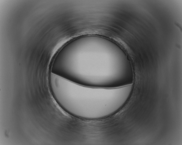 X0000103500894200809121010