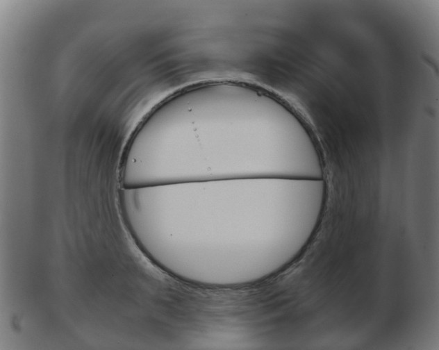X0000103500895200809121010